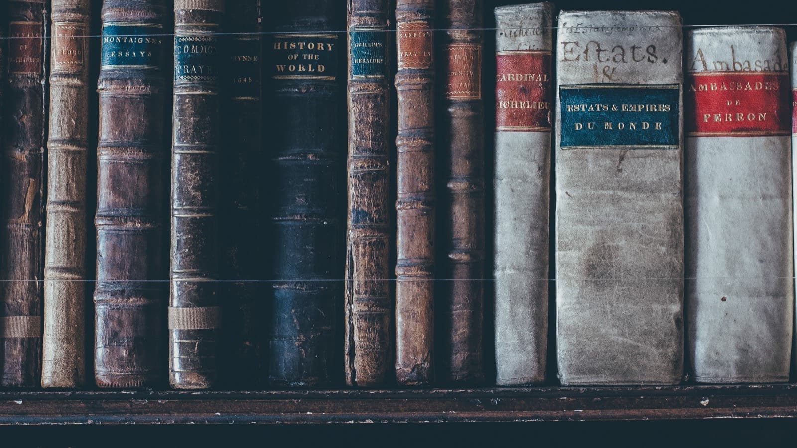 A row of old leather-bound legal volumes
